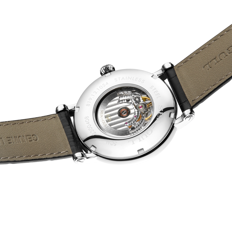 Seagull Herren Mechanische Uhr – Seiko Watch Presage Bewertung und Preis