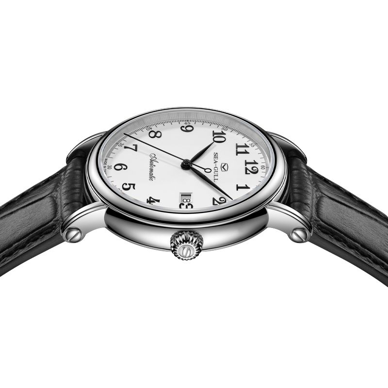 Seagull Herren Mechanische Uhr – Seiko Watch Presage Bewertung und Preis